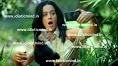 Katy Perry| Roar Lyrics
